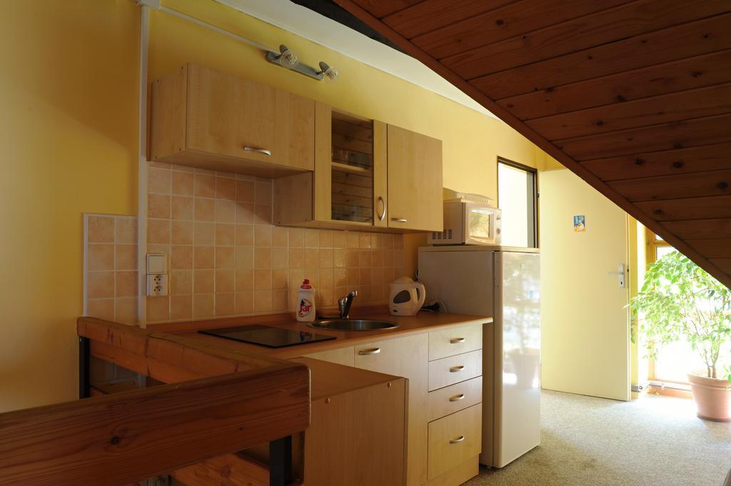 Penzion Alpina リベレツ 部屋 写真
